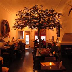 The Square food & drinks, Haarlem openingstijden