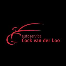 Autoservice van der Loo, Helvoirt openingstijden