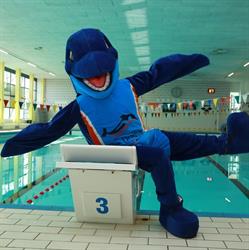 Zwembad De Dolfijn, Hoogeveen openingstijden