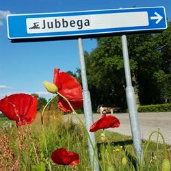Zwembad, Jubbega openingstijden