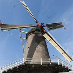 De Leeuw, Lettele openingstijden