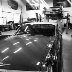 M.E. Cars, Oud-Beijerland openingstijden