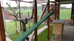 Kattenpension Wieringerwaard, openingstijden