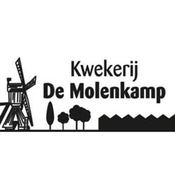 Kwekerij de Molenkamp, Brakel openingstijden
