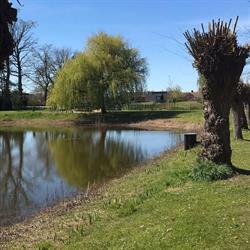 Kinderboerderij Cantecleerhoeve, Clinge openingstijden