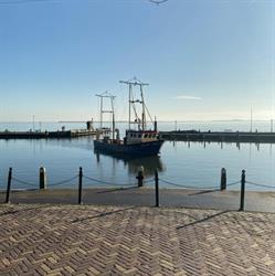 Dagje Volendam, openingstijden