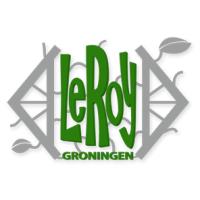 Stichting LeRoy Groningen, openingstijden