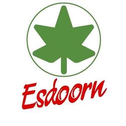 Scoutinggroep De Esdoorn, Leeuwarden openingstijden