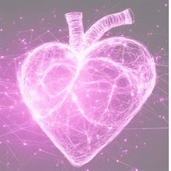 Shen Body Balance, Vuren openingstijden