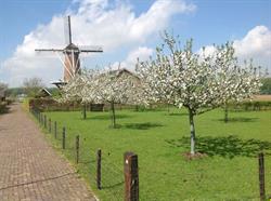 Stichting Korenmolen Werkhoven, openingstijden