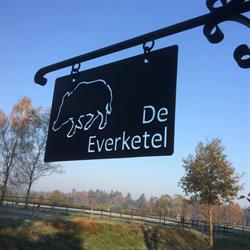 Paardenpension De Everketel / Paardentaxi Horses On Wheels, Vierhouten openingstijden