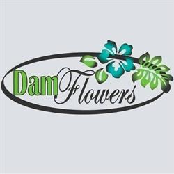 Bloemenwinkel Damflowers Leidschendam, openingstijden