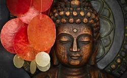 Chantra Wellness Centre, Voorburg openingstijden
