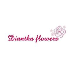 Diantha flowers, Zoeterwoude openingstijden