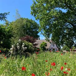natuurkampeerterrein het Rhanerveld, Hellendoorn openingstijden