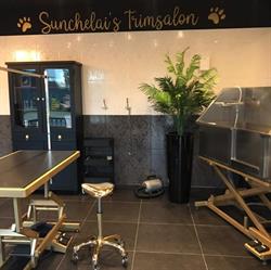 Sunchelai's Trimsalon, Venlo openingstijden