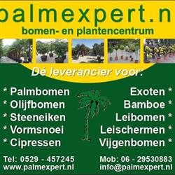 Palmexpert bomen- en plantencentrum, Giethmen openingstijden