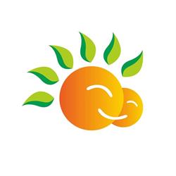 Sunshine Au Pair, 's-Gravenhage openingstijden