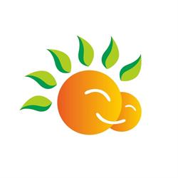 Sunshine Au Pair, 's-Gravenhage openingstijden