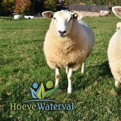 Hoeve Waterval, Ulestraten openingstijden