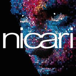 Nicari Laminations B.V., Ridderkerk openingstijden