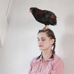 Studio Marije Vogelzang, Dordrecht openingstijden