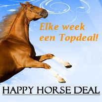 Happyhorsedeal, Geesteren openingstijden