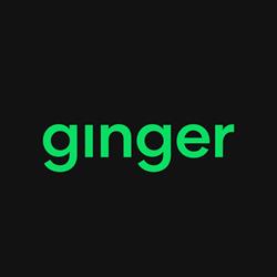 Ginger Payments, Amsterdam openingstijden