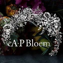 A.P Bloem, Amsterdam openingstijden