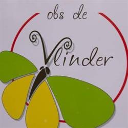 Openbare Basisschool (OBS) De Vlinder, Ter Apel openingstijden