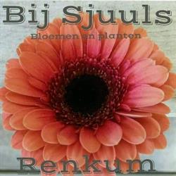 Bij Sjuuls Bloemen en Planten, Renkum openingstijden