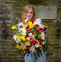 Hobaho Veiling B.V., Lisse openingstijden