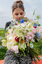 Hobaho Veiling B.V., Lisse openingstijden