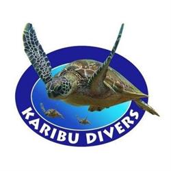 PADI Duikcentrum en Duikschool Karibu Divers Zuidlaren - Drenthe en Groningen, openingstijden