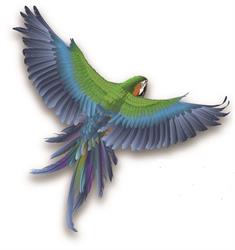 Alles Voor Uw Vogel.nl, Nieuw-Vennep openingstijden