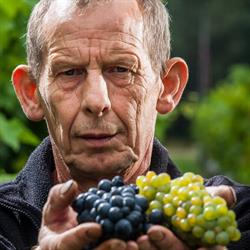 Wijnhoeve Kunneman, Geesteren openingstijden