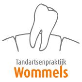 Tandartsenpraktijk Wommels, openingstijden