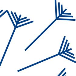 Advocatenkantoor Pluis, Gouda openingstijden