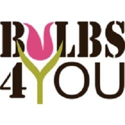Bulbs4You, Hillegom openingstijden