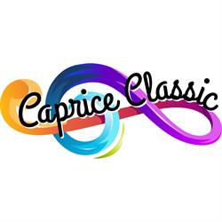 Muziekschool Caprice Classic, Hoek van Holland openingstijden