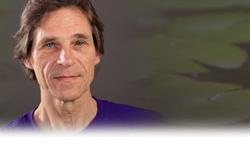 Lotus Hypnotherapie, Rotterdam openingstijden
