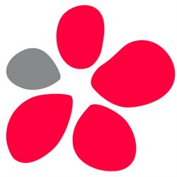 Van Dillewijn Group B.V., Amstelveen openingstijden