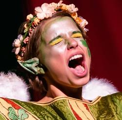 Theaterschool Hakoena, Wijchen openingstijden