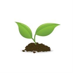 Natuurlijk! Hosting & Security, Haarlem openingstijden