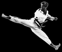 International Taekwondo, Vlaardingen openingstijden