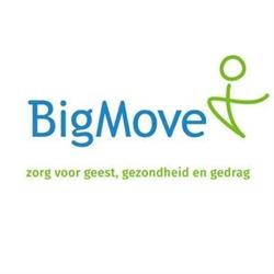 BigMove, Utrecht openingstijden