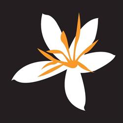 Fleur de Café BV, Deventer openingstijden