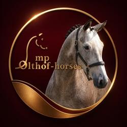 MP Olthof-Horses BV, Zieuwent openingstijden
