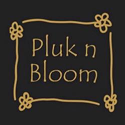 Pluk n Bloom Haarlem, openingstijden