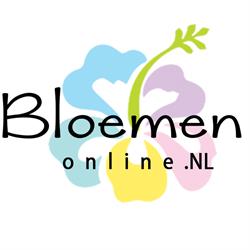BloemenOnline.NL, Aalsmeer openingstijden